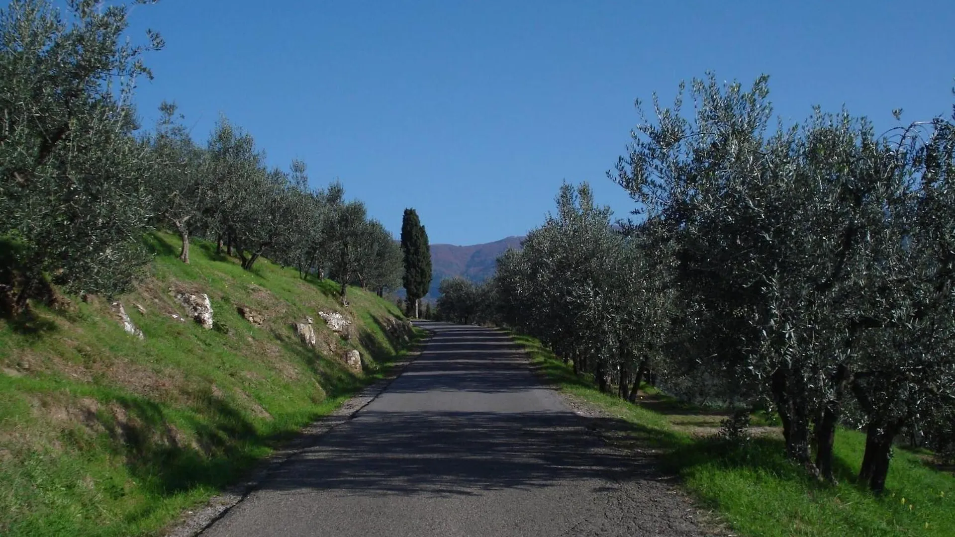 I Rondoni Villa Case Malva Italy